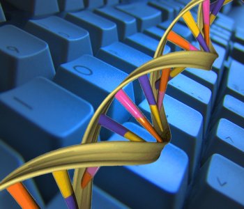 bioinformatics.jpg